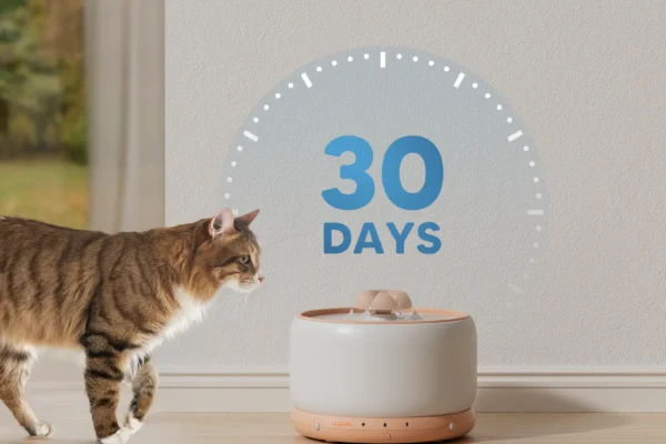 Quench Their Thirst with Style: Wopet Ceramic Wireless Pet Water Fountain