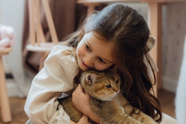 Purrfect Partners: How to Build a Safe and Happy Relationship Between Cats and Kids