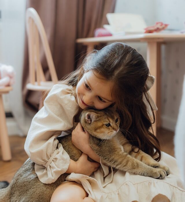 Purrfect Partners: How to Build a Safe and Happy Relationship Between Cats and Kids